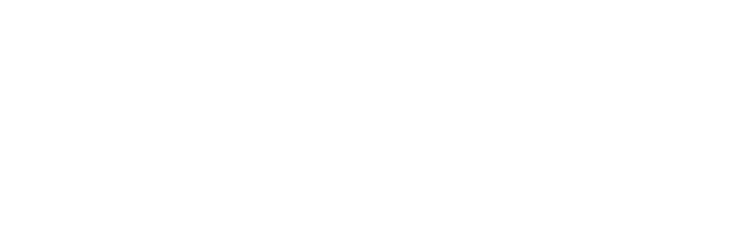 ExactaFlow logo